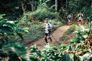 BIB: 
                            <button type="button" onclick="openModal(25848405)" class="btn btn-primary btn-sm float-right btn-popup" data-toggle="modal" data-target=".modal-high-quality">
                        <i class="fas fa-shopping-cart"></i> Add to Cart
                    </button>
                                            <button type="button" onclick="isThisMe(25848405, true)" class="btn btn-success btn-sm float-right btn-popup btn-isme hidden" data-toggle="tooltip" data-placement="bottom" title="นี่คือรูปของคุณใช่ไหม คลิกที่นี่เพื่อเอาเข้าอัลบั้ม">
                        <i class="fas fa-plus"></i> Add to album
                    </button>
                    <button type="button" onclick="isThisMe(25848405, false)" class="btn btn-warning btn-sm float-right btn-popup btn-isnotme hidden">
                        <i class="fas fa-ban"></i> Remove from album
                    </button>